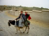 Two kids on Donkey